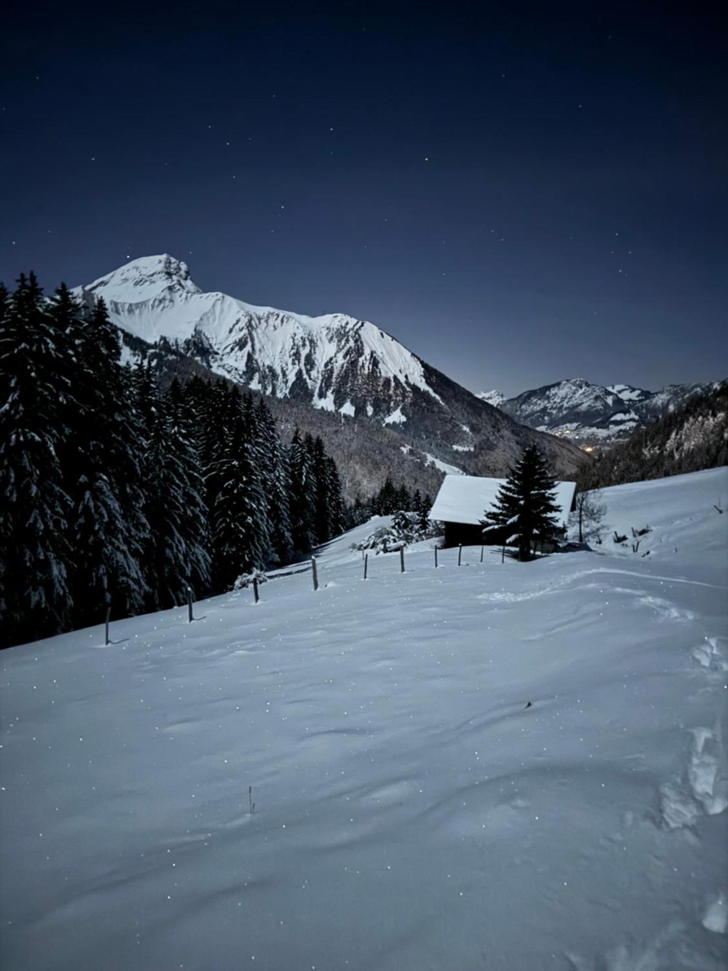 Charming, Cosy Chalet Nestled In A Breathtaking Surrounding With Spectacular, Stunning Mountain Views Abondance Eksteriør billede